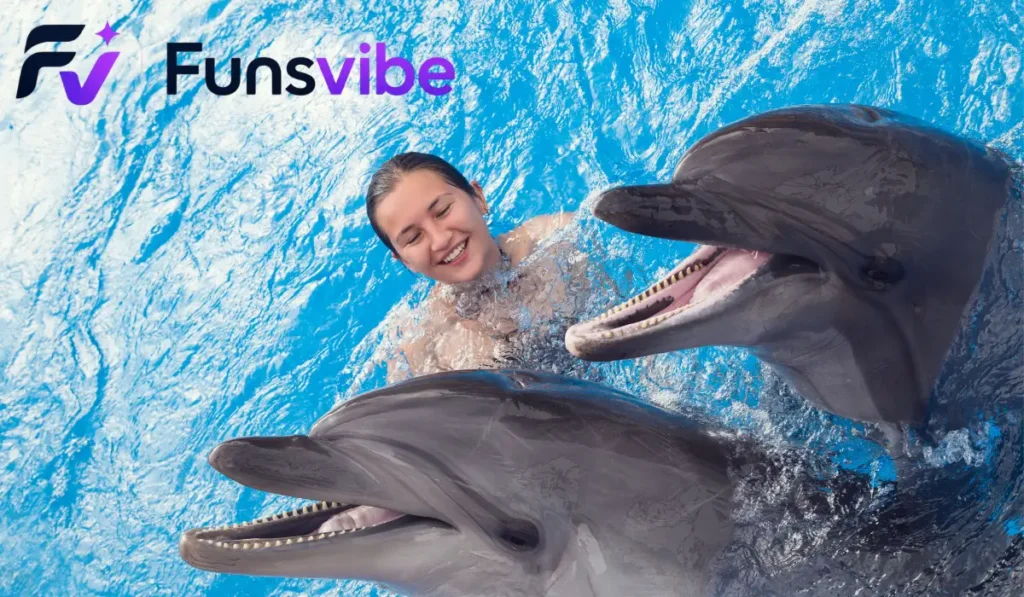 Fun Dolphin