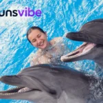 Fun Dolphin
