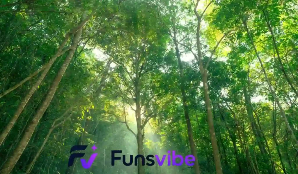 Extraordinary Fun Facts Carbon Fans Will Love